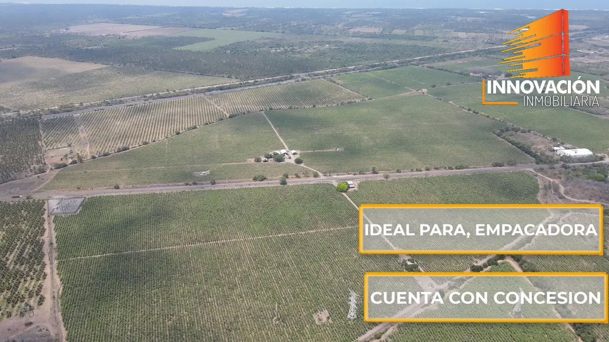 Se Vende Terreno de 35.42 Hectareas en Armeria Colima, Sobre Carretera — foto 5
