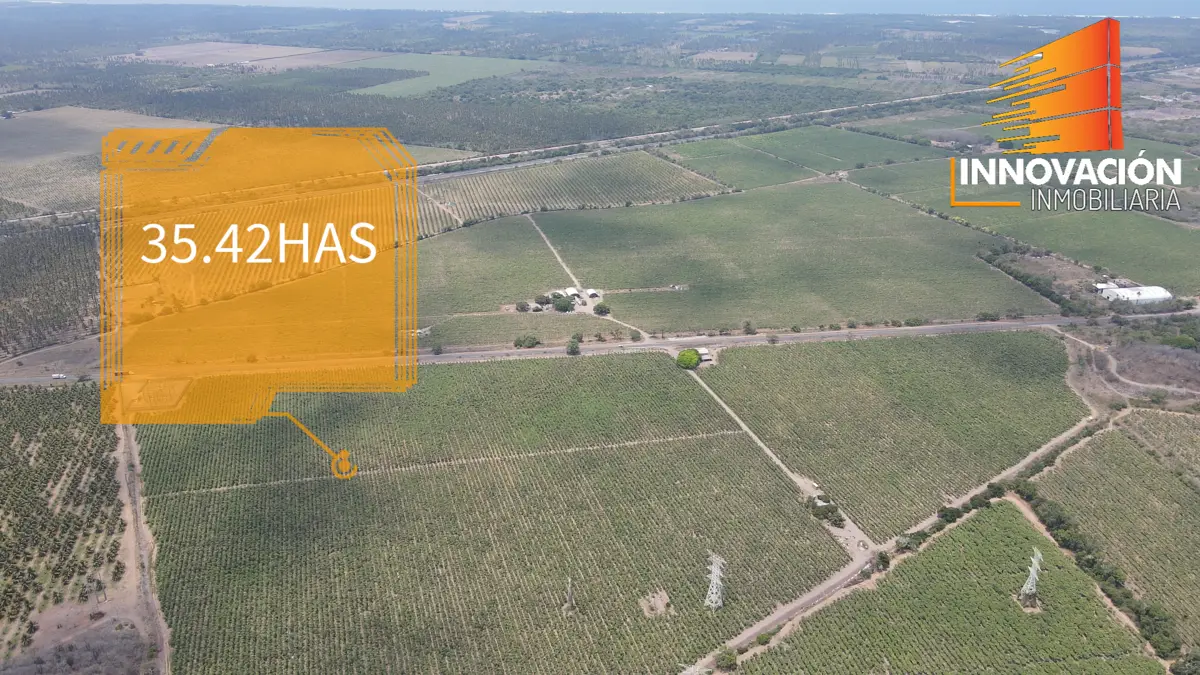 Se Vende Terreno de 35.42 Hectareas en Armeria Colima, Sobre Carretera — foto 6