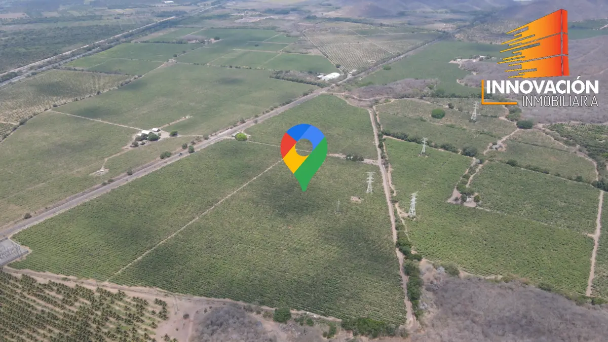 Se Vende Terreno de 35.42 Hectareas en Armeria Colima, Sobre Carretera — foto 7