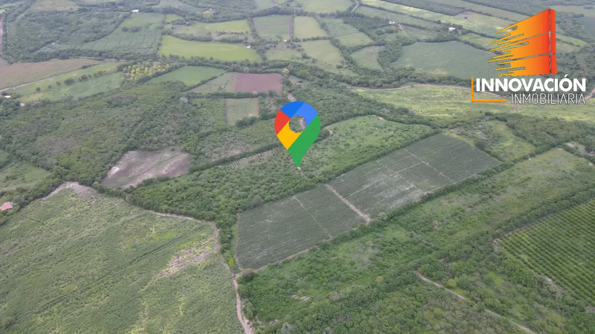 Se Vende Parcela de 5.82 Hectareas, en los Asmoles, Colima, Colima, Facil Acceso — foto 5