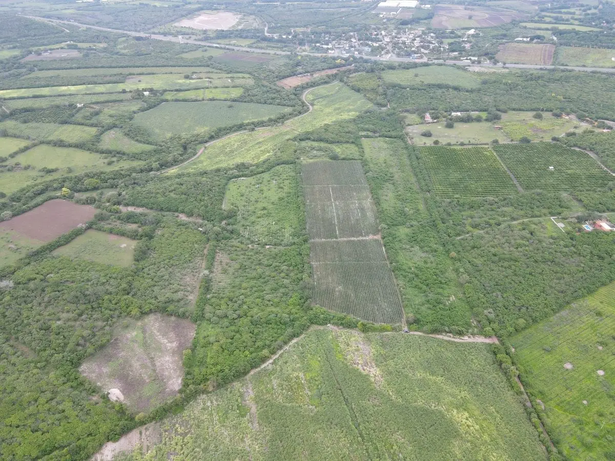 Se Vende Parcela de 5.82 Hectareas, en los Asmoles, Colima, Colima, Facil Acceso — foto 7