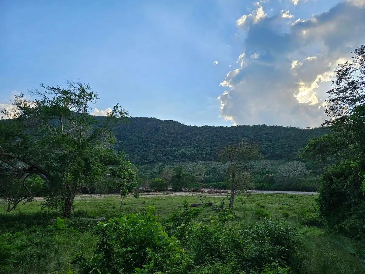 𝙎𝙀 𝙑𝙀𝙉𝘿𝙀 𝑻𝑬𝑹𝑹𝑬𝑵𝑶 de 41.5 𝙃𝙀𝘾𝙏𝘼𝙍𝙀𝘼𝙎 en Villa de Alvarez,, — foto 4