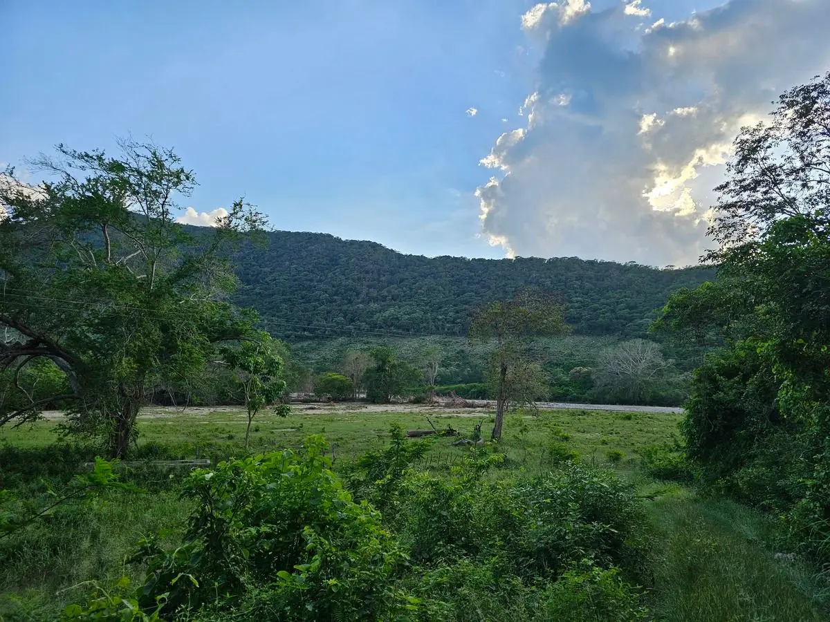 𝙎𝙀 𝙑𝙀𝙉𝘿𝙀 𝑻𝑬𝑹𝑹𝑬𝑵𝑶 de 41.5 𝙃𝙀𝘾𝙏𝘼𝙍𝙀𝘼𝙎 en Villa de Alvarez,, — foto 5
