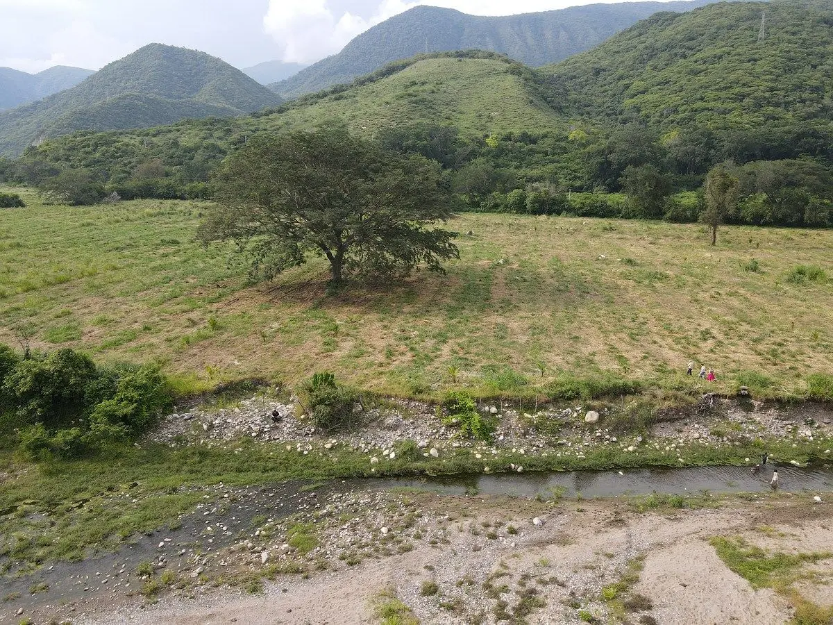 𝑺𝙀 𝙑𝙀𝙉𝘿𝙀 Predio de 40 𝙃𝙀𝘾𝙏𝘼𝙍𝙀𝘼𝙎, Sobre Carretera Villa de Alvare