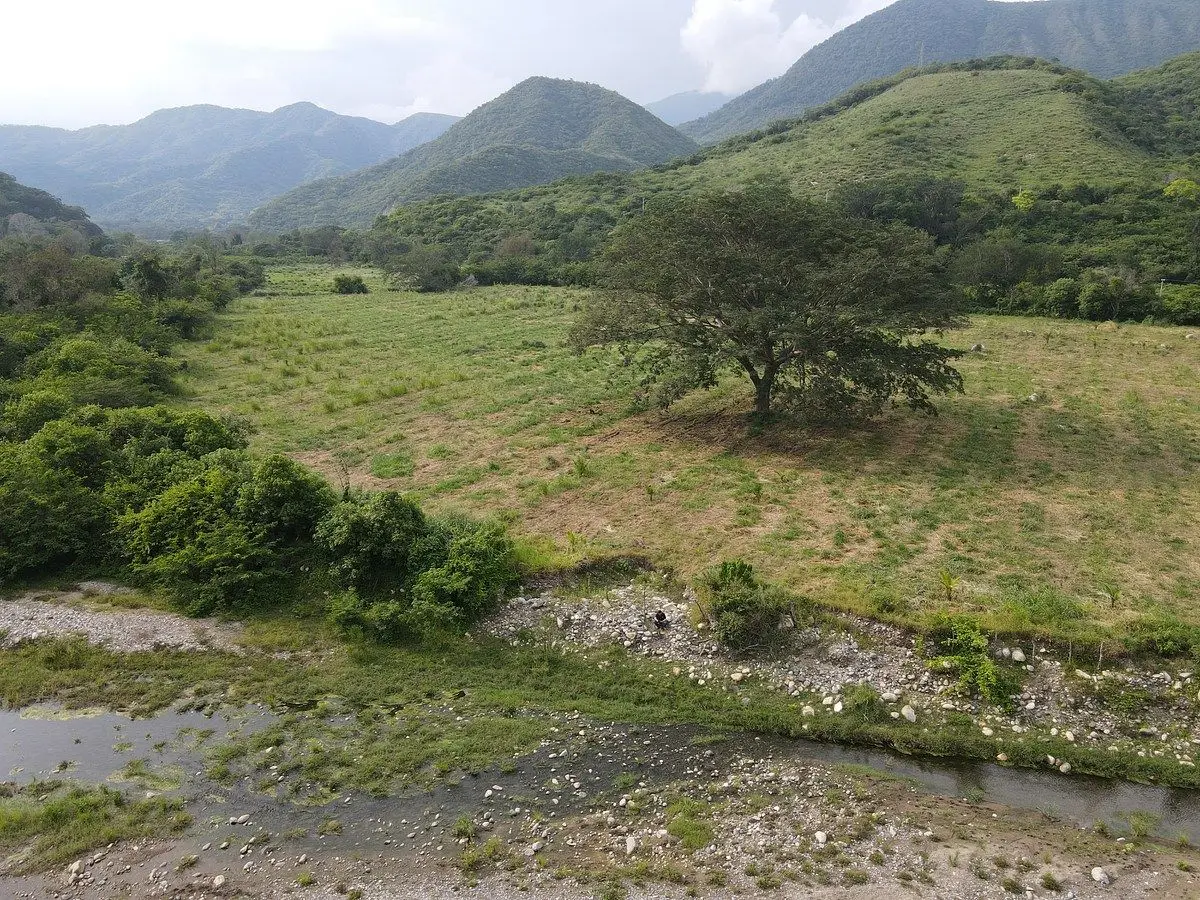 𝑺𝙀 𝙑𝙀𝙉𝘿𝙀 Predio de 40 𝙃𝙀𝘾𝙏𝘼𝙍𝙀𝘼𝙎, Sobre Carretera Villa de Alvare — foto 4