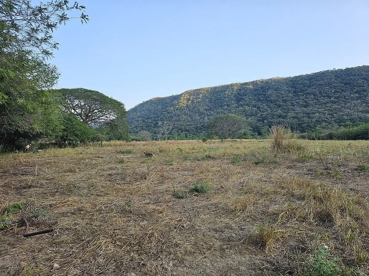 𝑺𝙀 𝙑𝙀𝙉𝘿𝙀 Predio de 40 𝙃𝙀𝘾𝙏𝘼𝙍𝙀𝘼𝙎, Sobre Carretera Villa de Alvare — foto 6