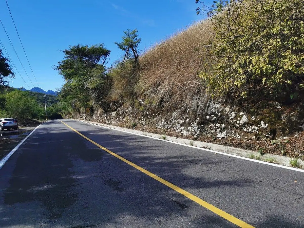 𝑺𝙀 𝙑𝙀𝙉𝘿𝙀 Predio de 40 𝙃𝙀𝘾𝙏𝘼𝙍𝙀𝘼𝙎, Sobre Carretera Villa de Alvare — foto 7