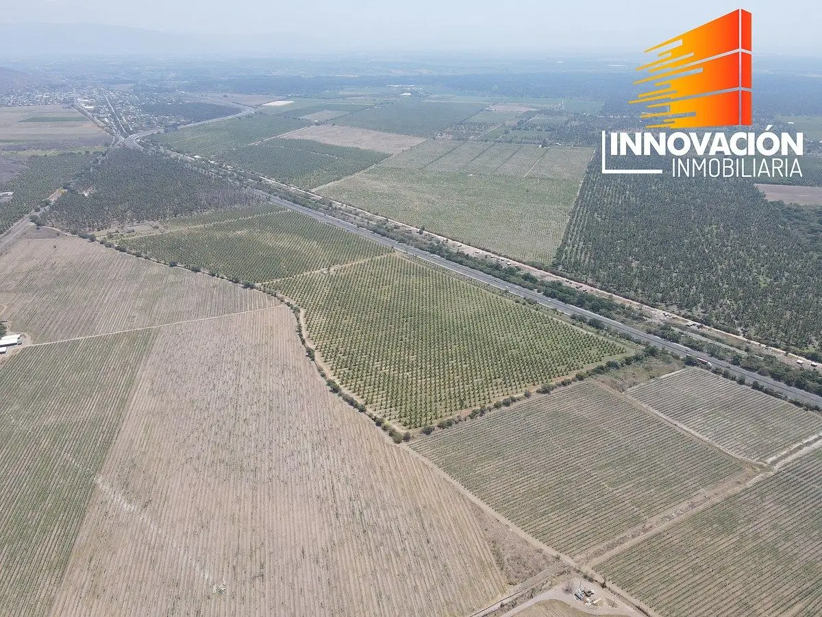 Se Vende Predio Industrial de 74 Hectareas – Armería, Colima — foto 5