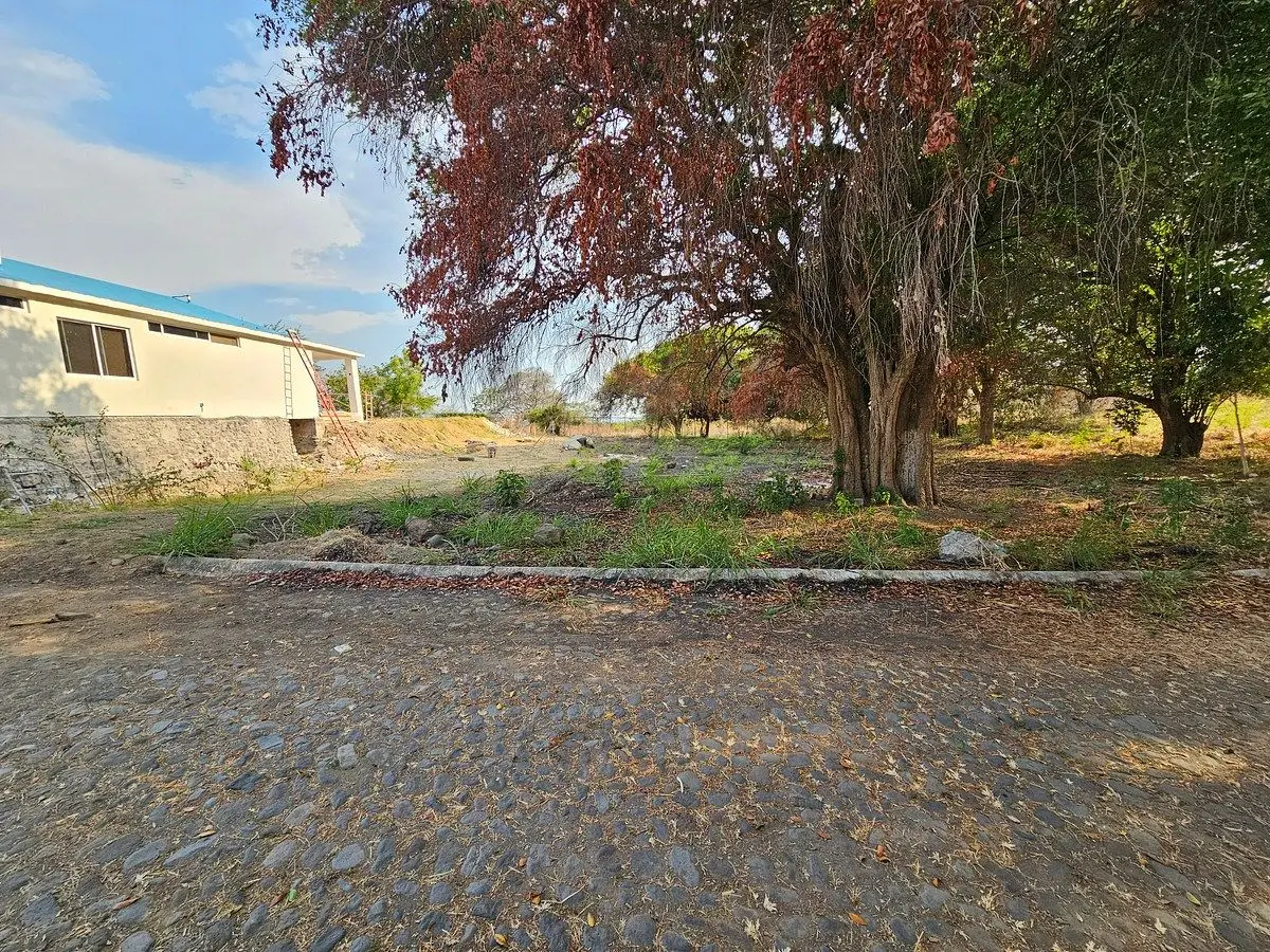 𝑺𝑬 𝑽𝑬𝑵𝑫𝑬 Lote en Campestre Valle del Ruiseñor , Cuauhtemoc, Col 1208 M2 — foto 6