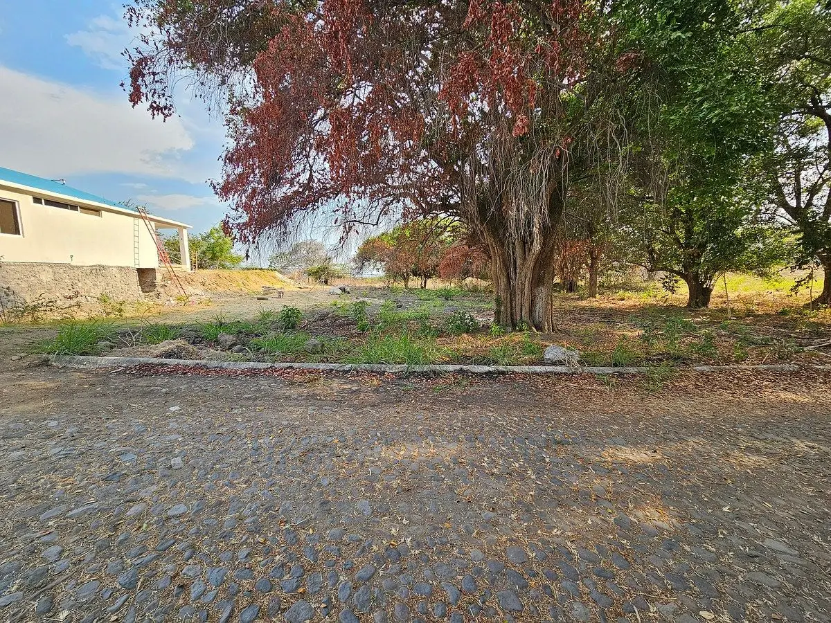 𝑺𝑬 𝑽𝑬𝑵𝑫𝑬 Lote en Campestre Valle del Ruiseñor , Cuauhtemoc, Col 1208 M2 — foto 7