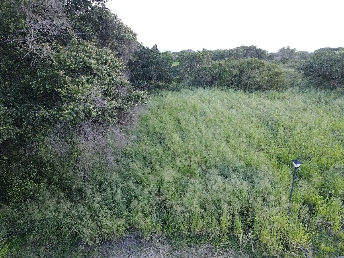 Se Vende Lote con Escritura Individual en Valle del Ruiseñor, Cuauhtemoc Colima — foto 3