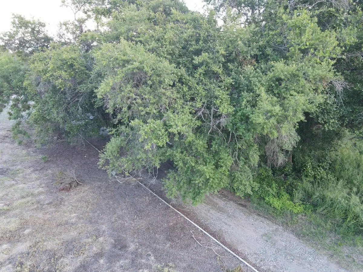 Se Vende Lote con Escritura Individual en Valle del Ruiseñor, Cuauhtemoc Colima — foto 4