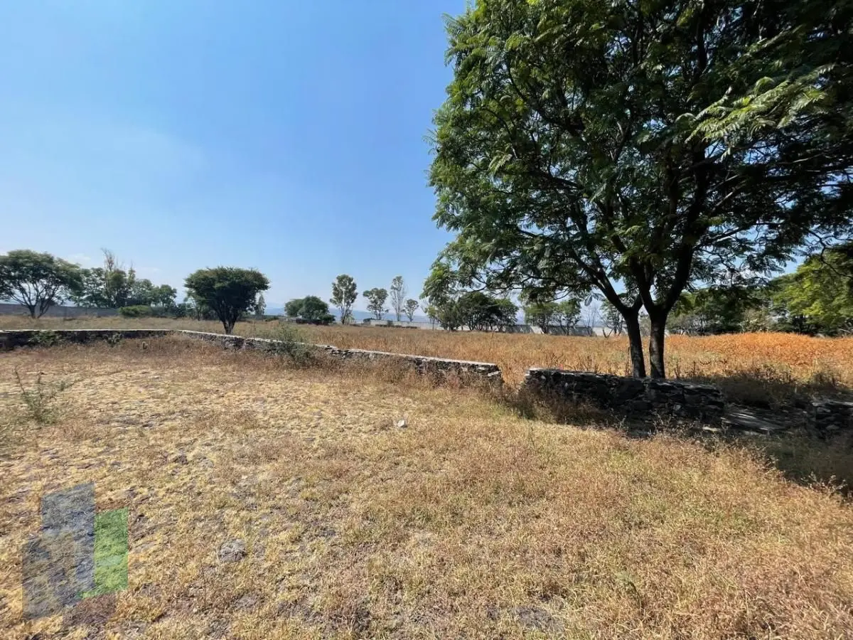 Terreno en venta en Huertas la Joya de 29,159m2 — foto 2