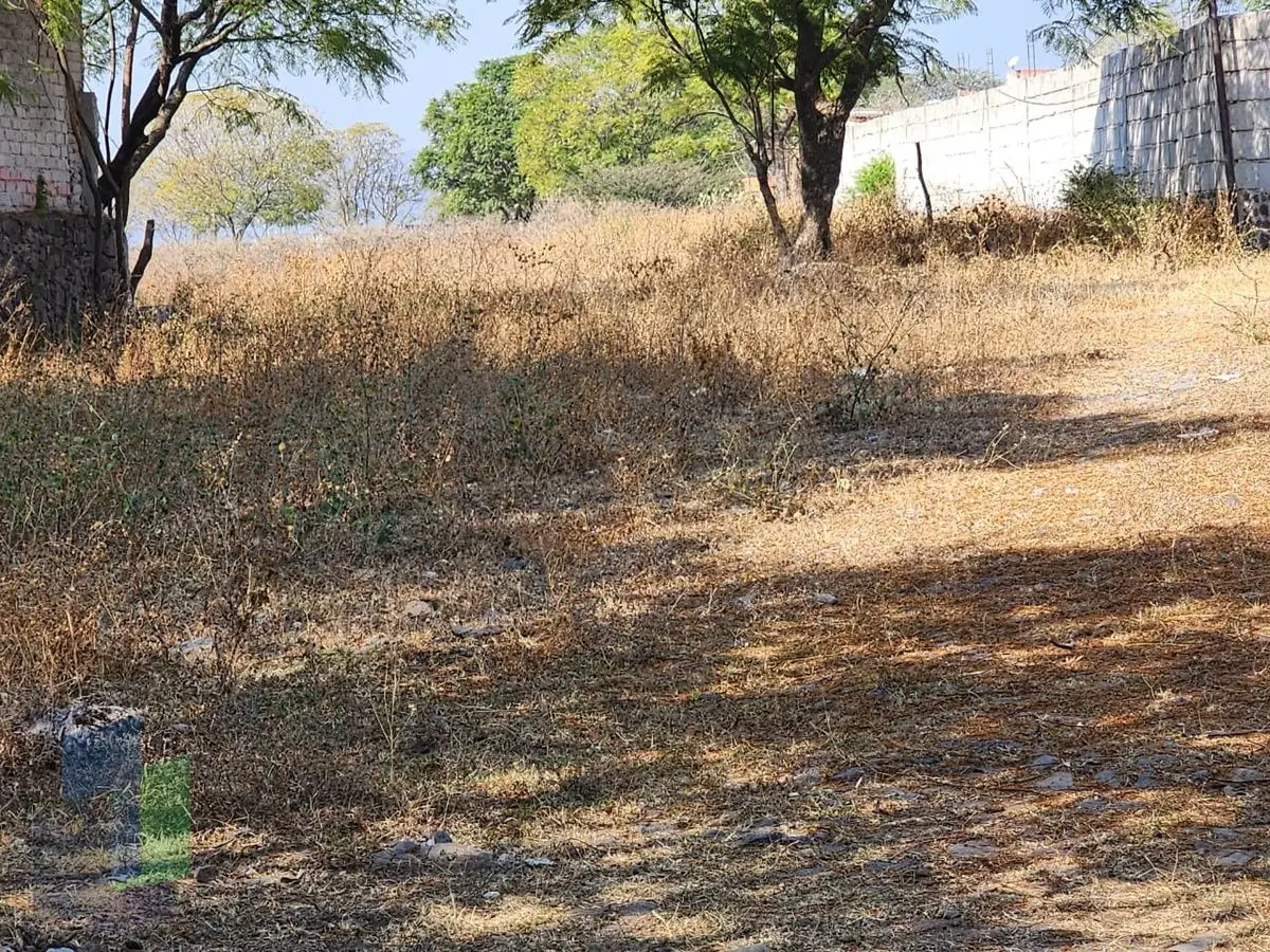 Terreno en venta en Huertas la Joya de 29,159m2 — foto 4