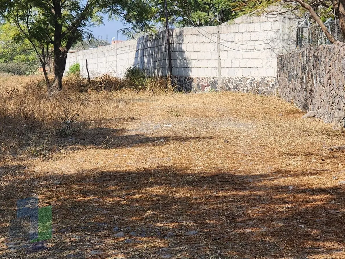 Terreno en venta en Huertas la Joya de 29,159m2 — foto 6