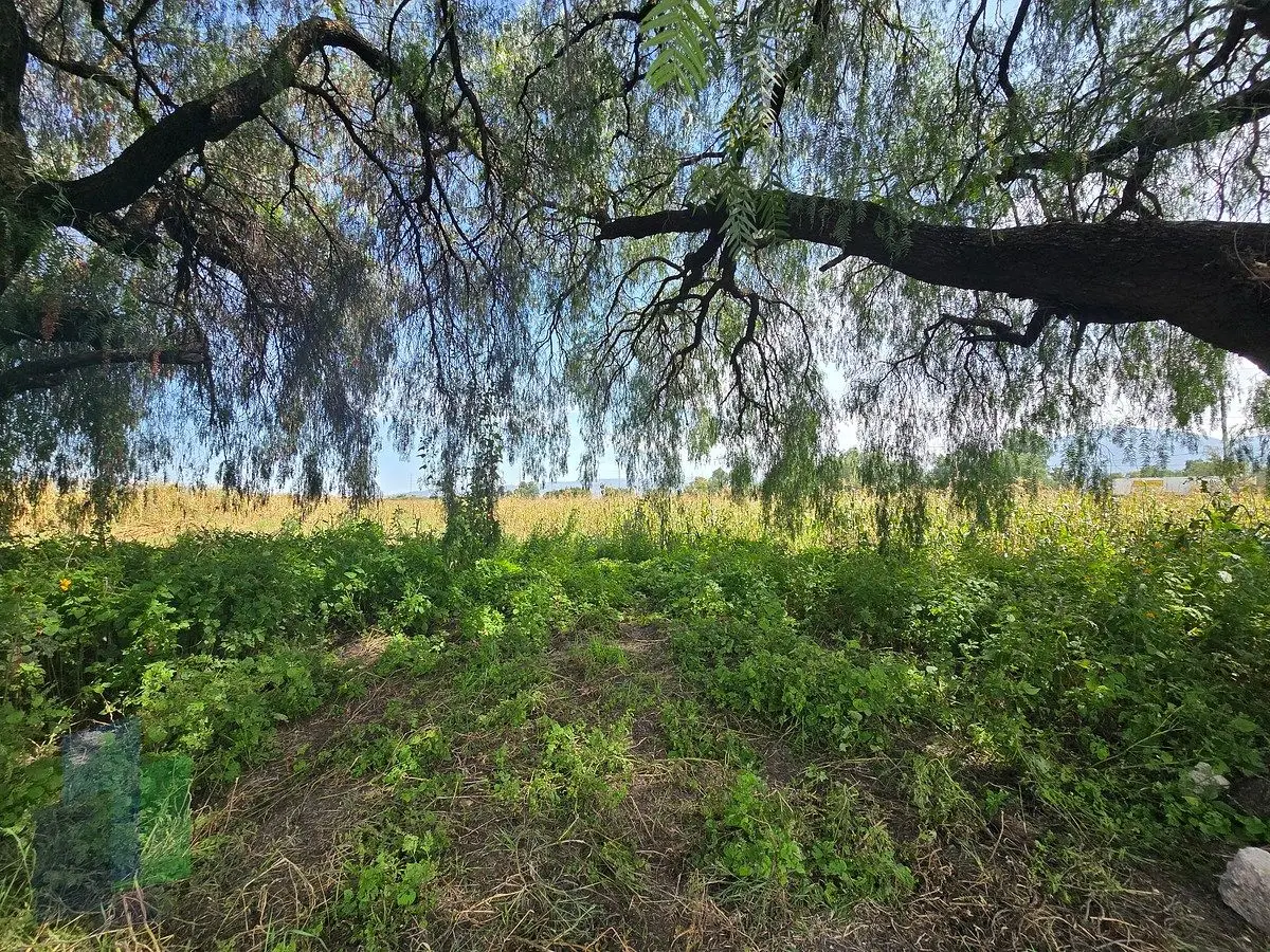 OPORTUNIDAD, Venta de Terreno cerca de Parque Industrial Querétaro — foto 3