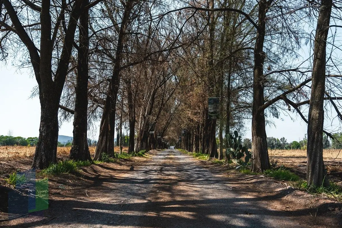 Terrenos en Venta en Cañadas del Valle