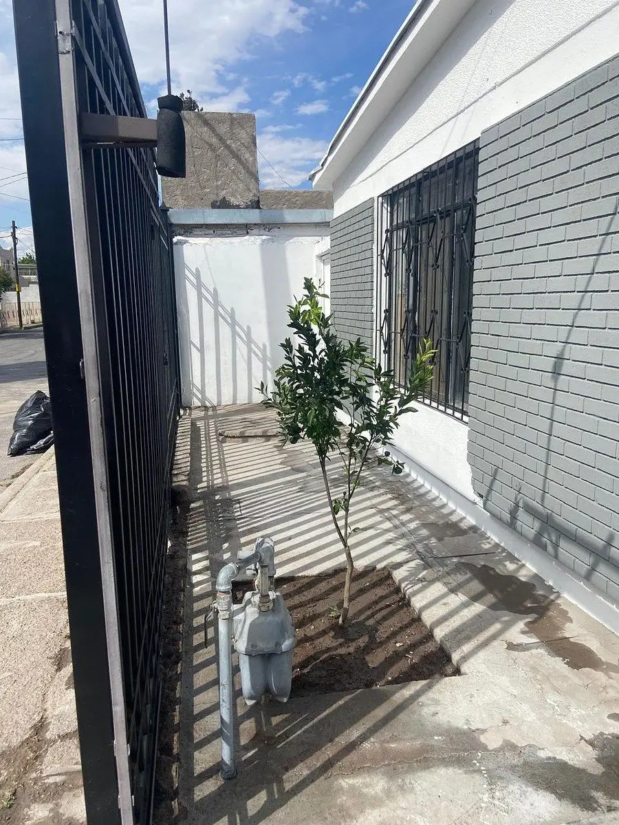 Col. Dale casa de una planta con departamento independiente en privada — foto 3