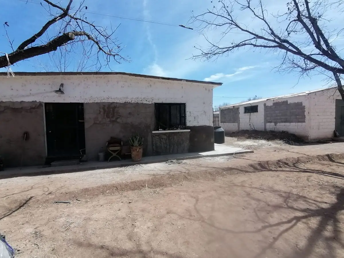 Huerta nogalera carr Aldama frente a Residencial Leones — foto 2