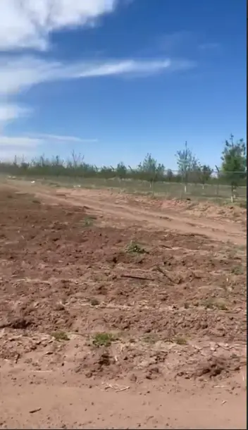 Rancho Nogalero en Venta en Lázaro Cárdenas. — foto 4