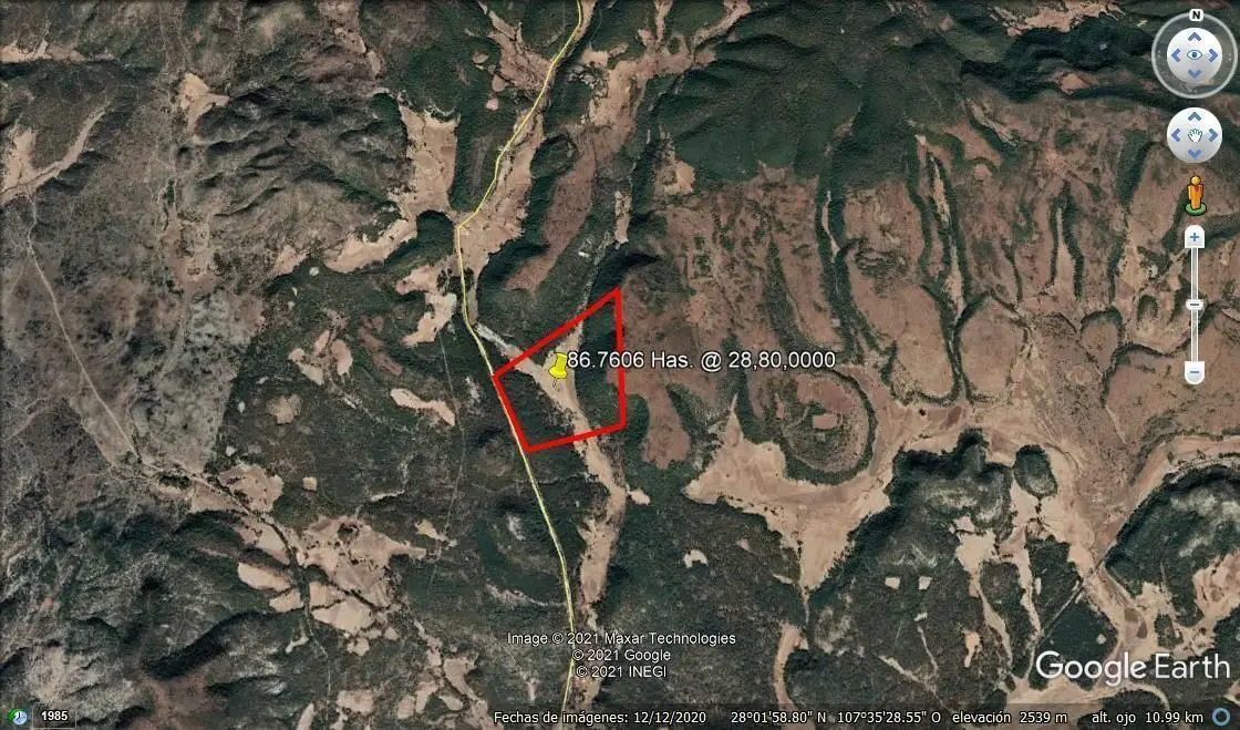 Sierra Tarahumara San Juanito Sobre Carretera Rancho Forestal — foto 4