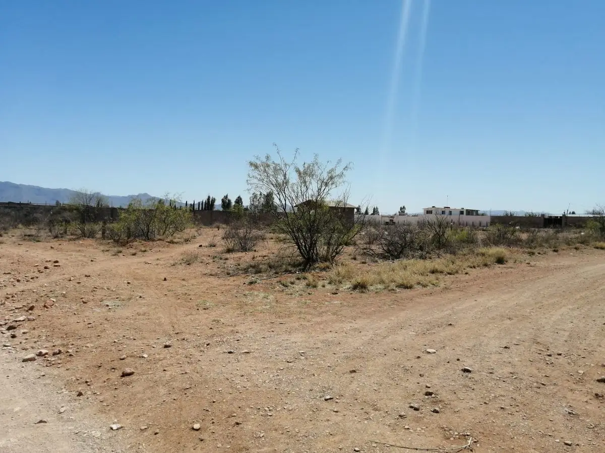 Valle de Chihuahua, Cerca del Sirocco — foto 3