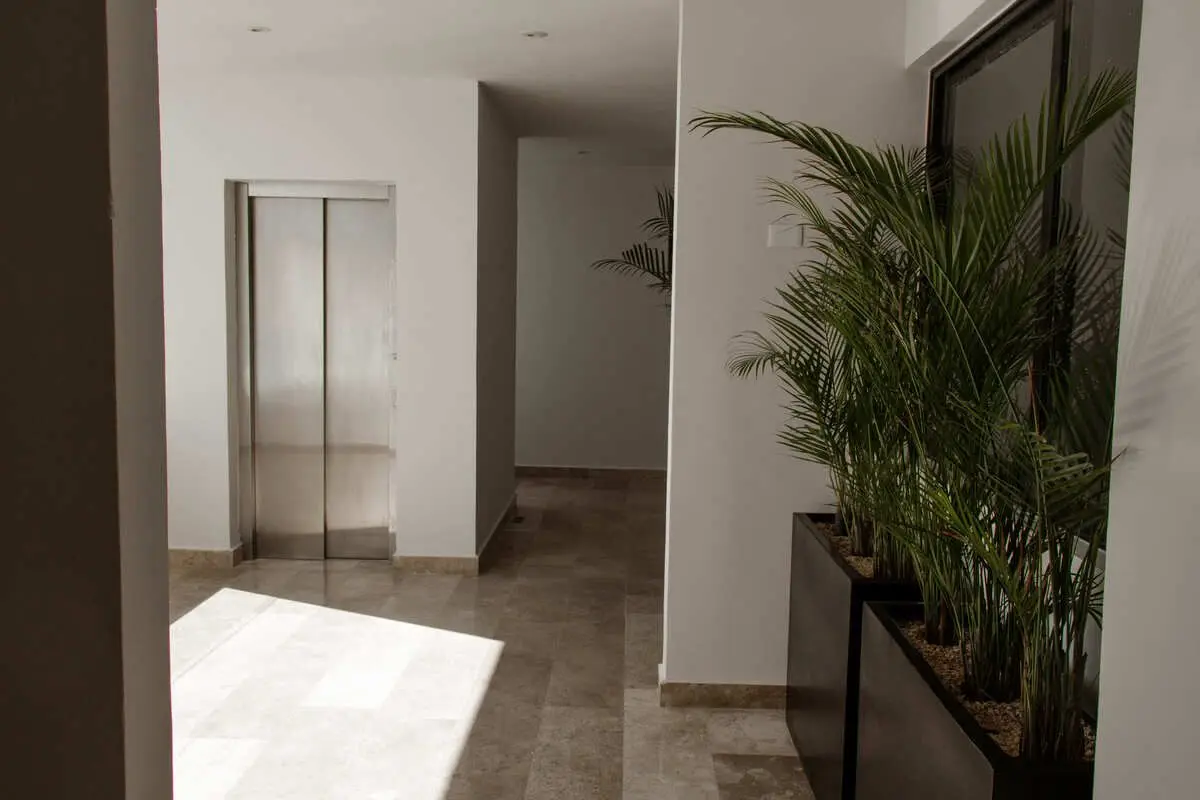 Departamentos en Salina, Chicxulub Puerto — foto 5