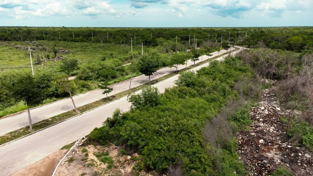 Lotes Industriales en Nodo Park — foto 4