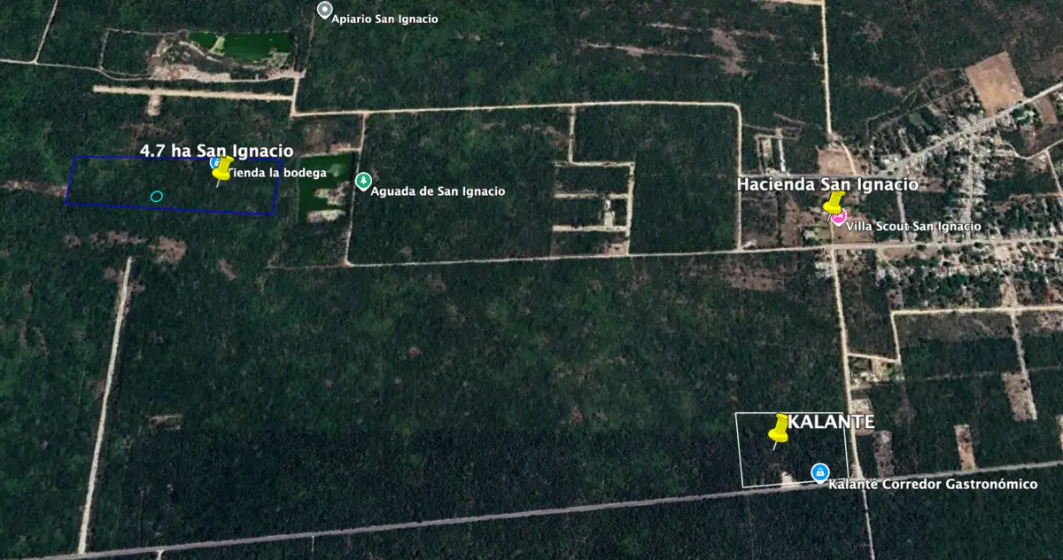 Terreno en venta de 4.7 has en San Ignacio — foto 5
