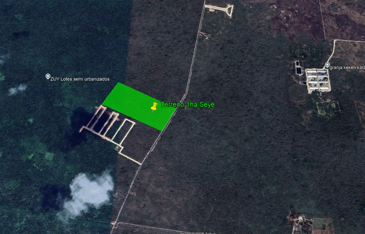 Terreno en Venta de 1ha en Seyé — foto 2