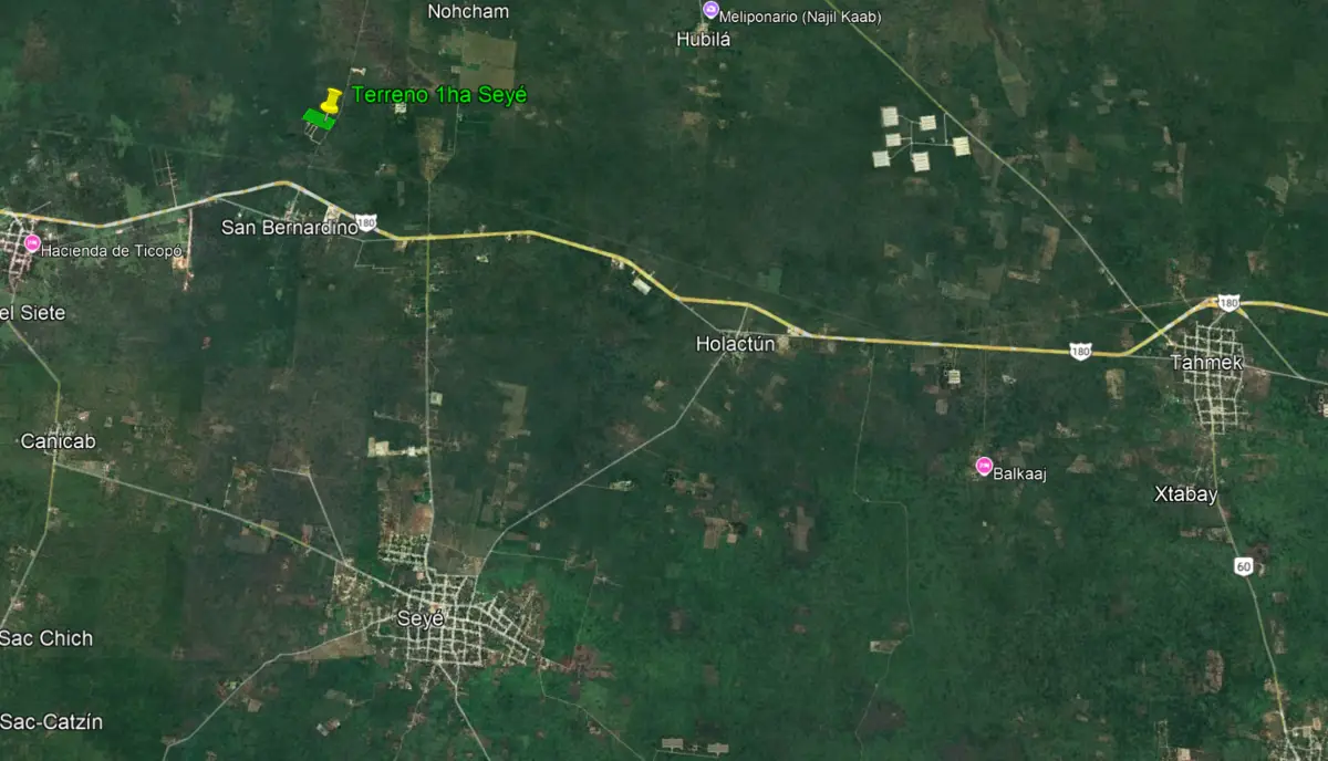 Terreno en Venta de 1ha en Seyé — foto 3