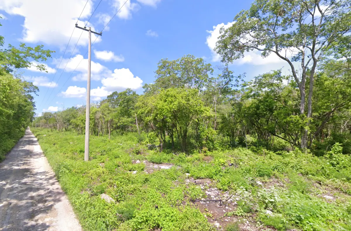 Terreno en Venta de 1ha en Seyé — foto 6