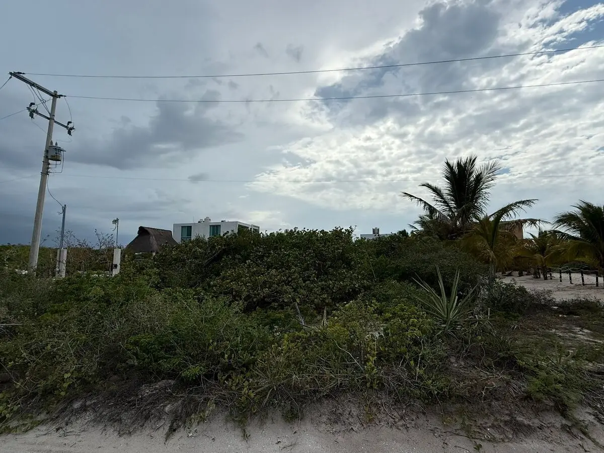 Terrenos en venta en San Benito — foto 3