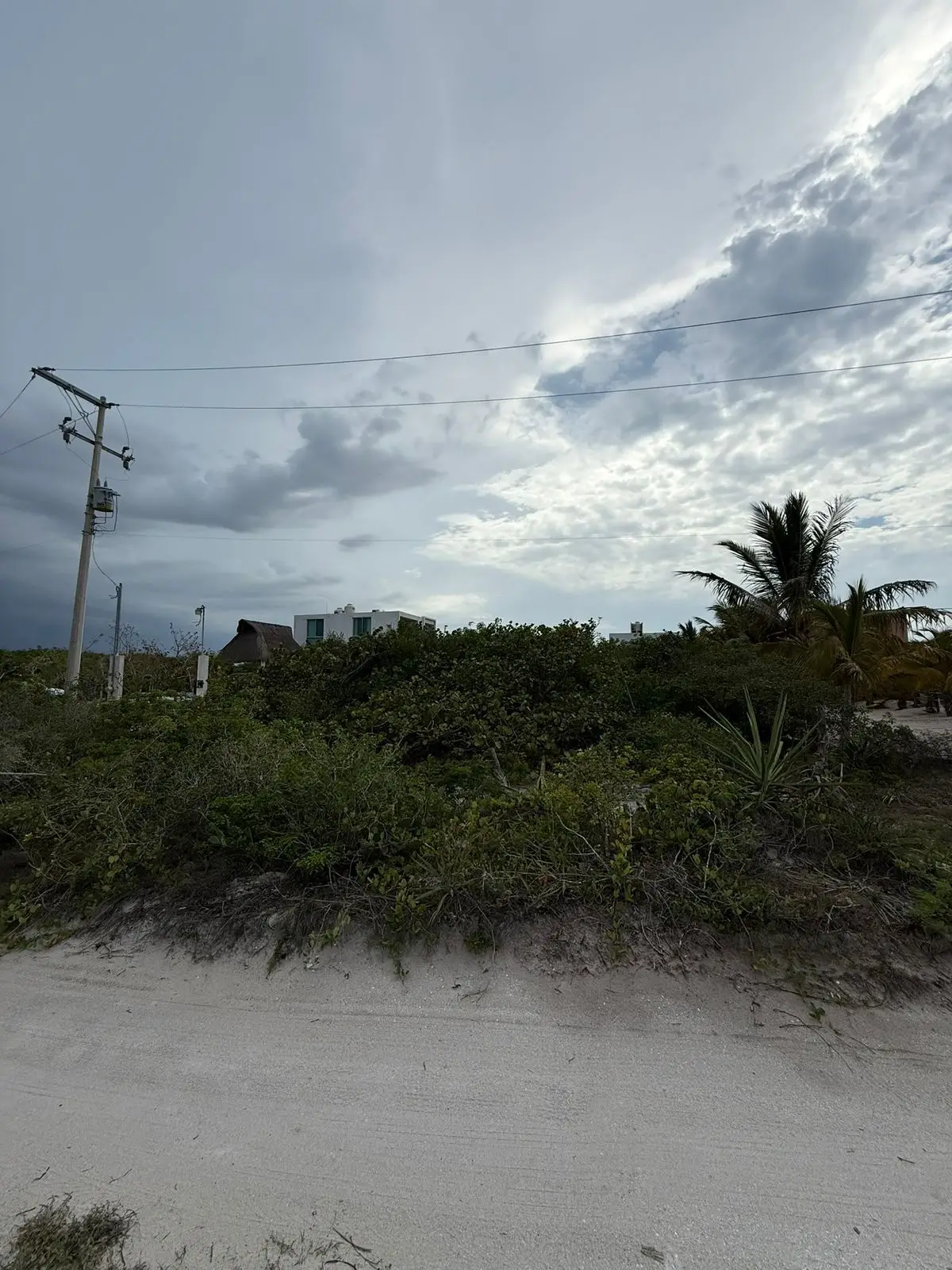 Terrenos en venta en San Benito — foto 5