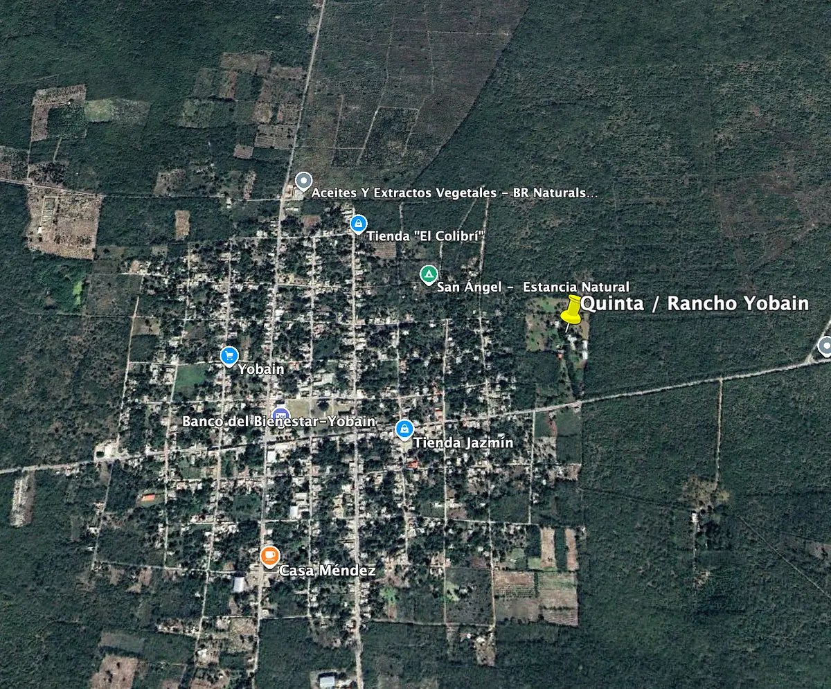 Rancho Productivo en Venta – Yobaín, Yucatán — foto 3