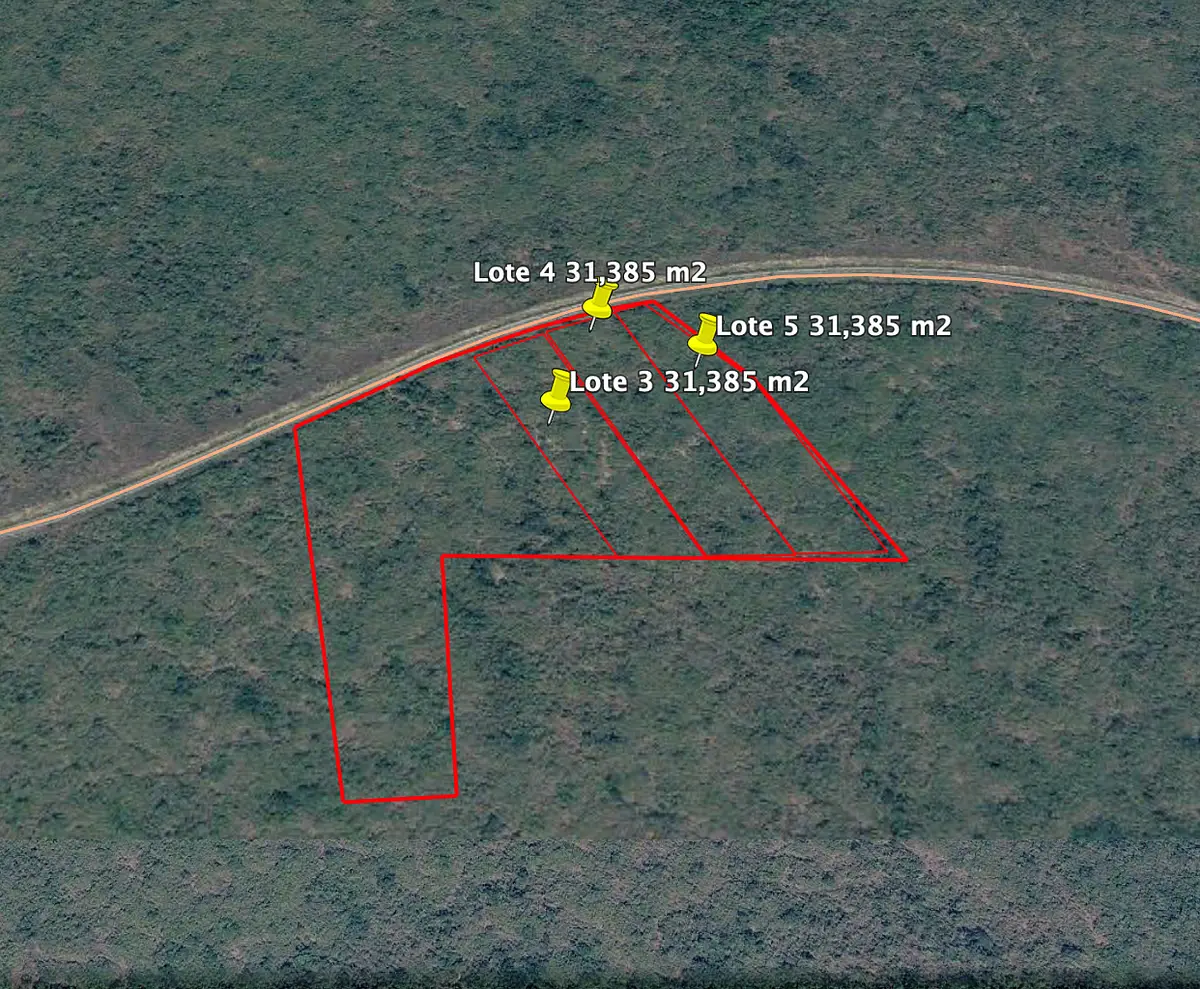 Terrenos industriales en venta sobre carretera Ucú–Hunucmá | 3.1 ha c/u