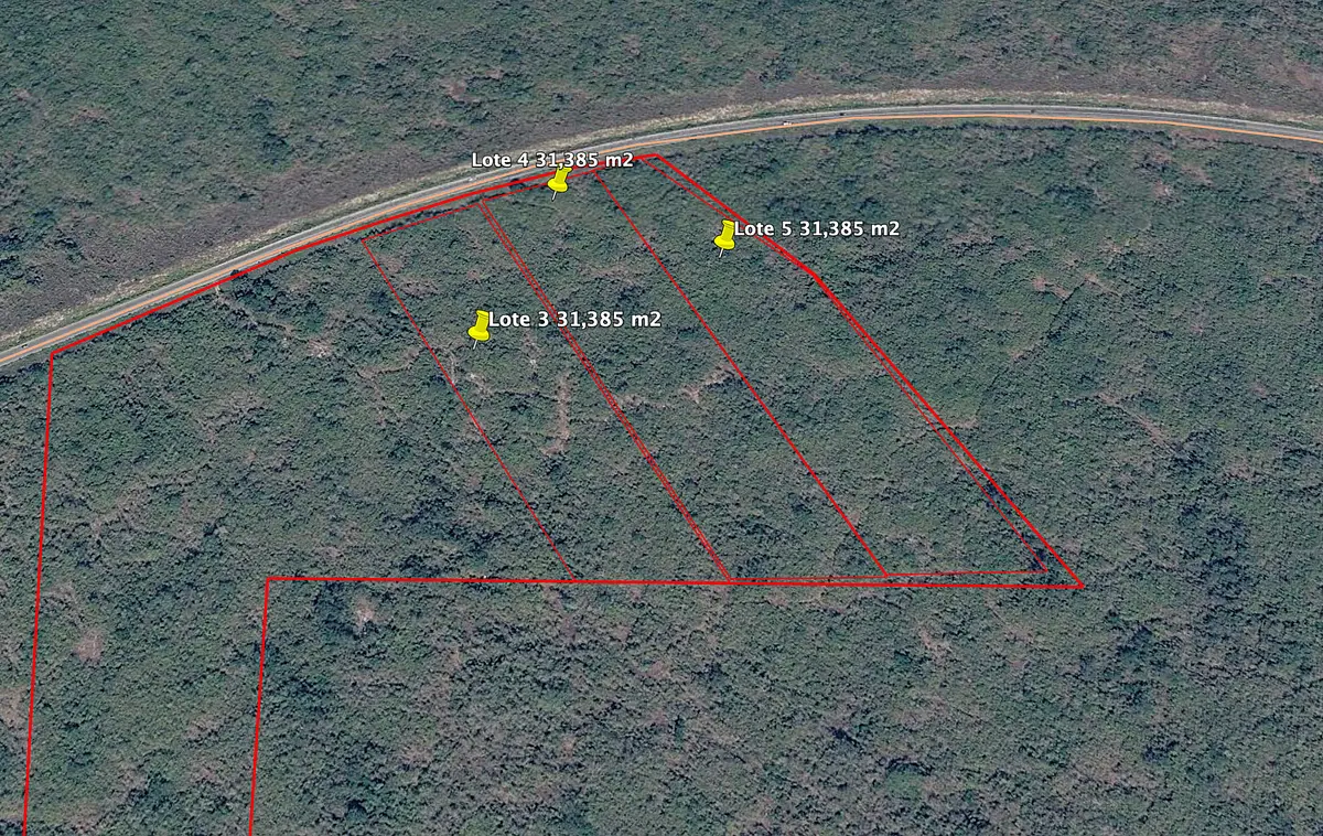 Terrenos industriales en venta sobre carretera Ucú–Hunucmá | 3.1 ha c/u — foto 2