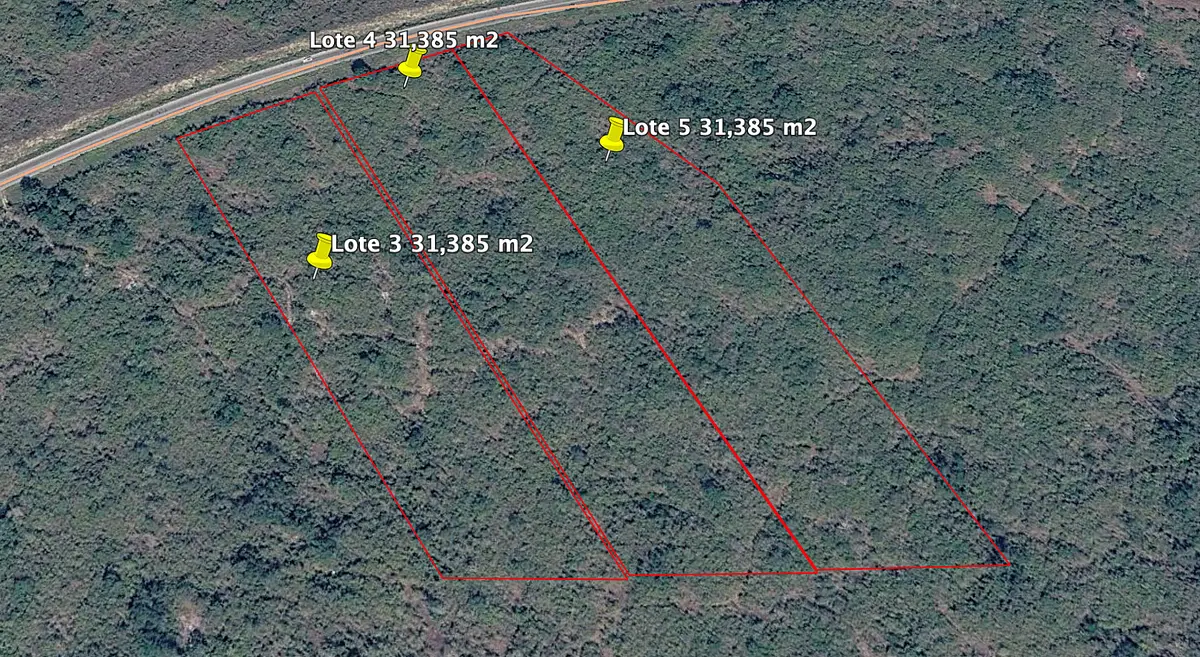 Terrenos industriales en venta sobre carretera Ucú–Hunucmá | 3.1 ha c/u — foto 3