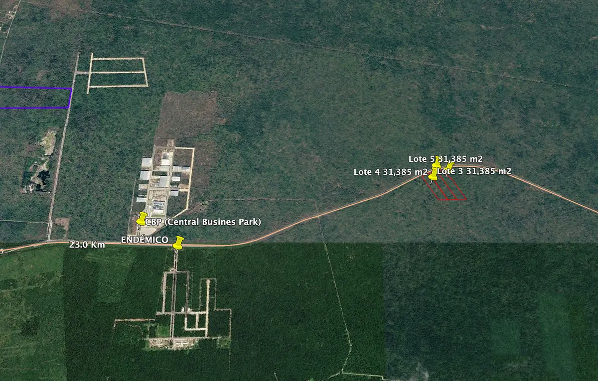 Terrenos industriales en venta sobre carretera Ucú–Hunucmá | 3.1 ha c/u — foto 5
