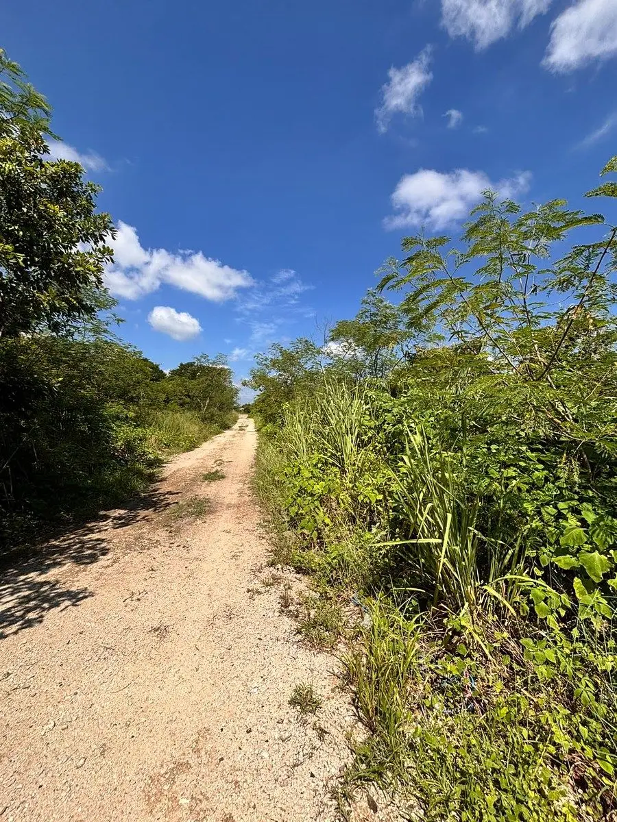 Terreno en venta en Dzitya — foto 3