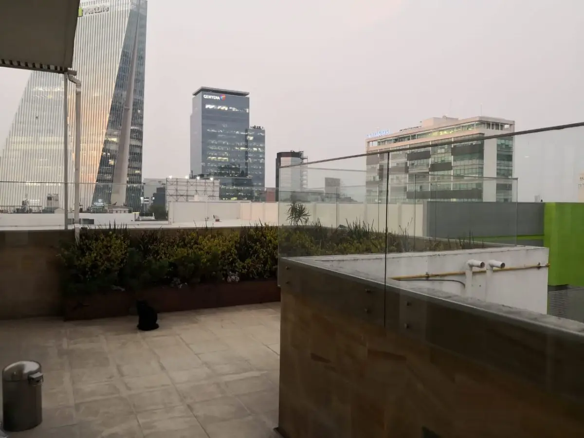 Cda. de Perpetua, San José Insurgentes, Departamento en renta — foto 2