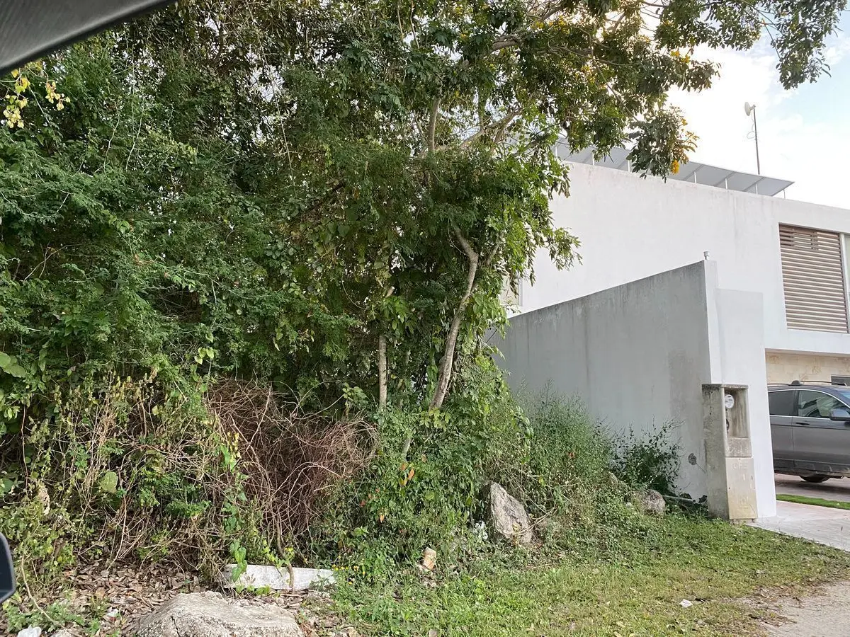 Mid Inmobiliaria