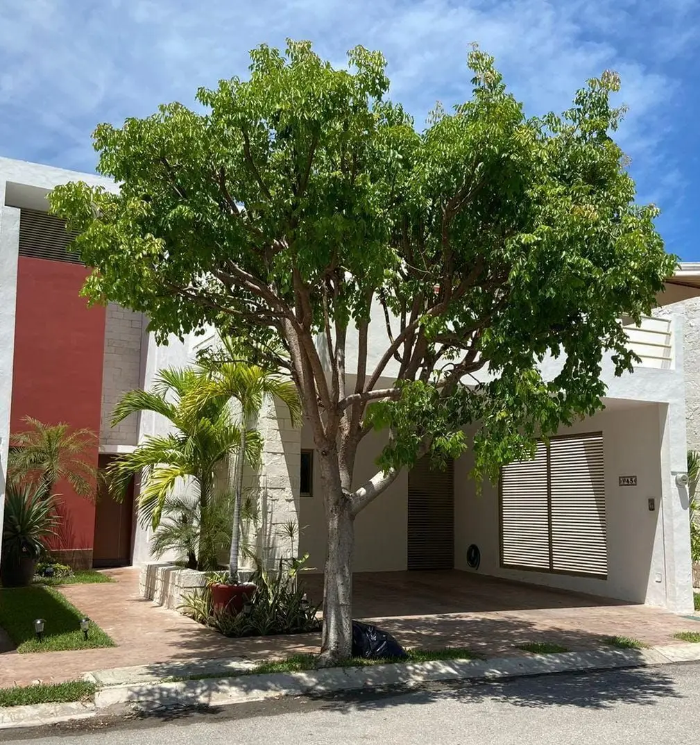 Mid Inmobiliaria — foto 5