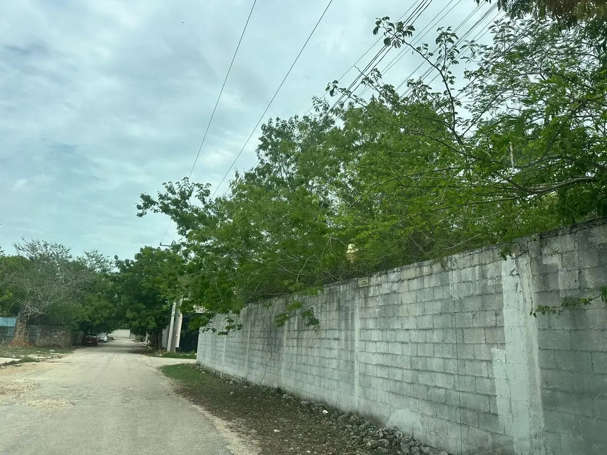 Mid Inmobiliaria — foto 2