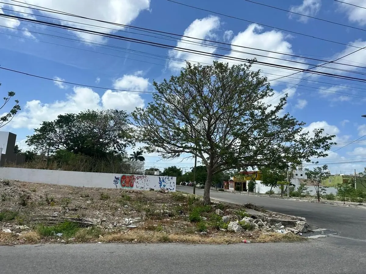 Mid Inmobiliaria — foto 3