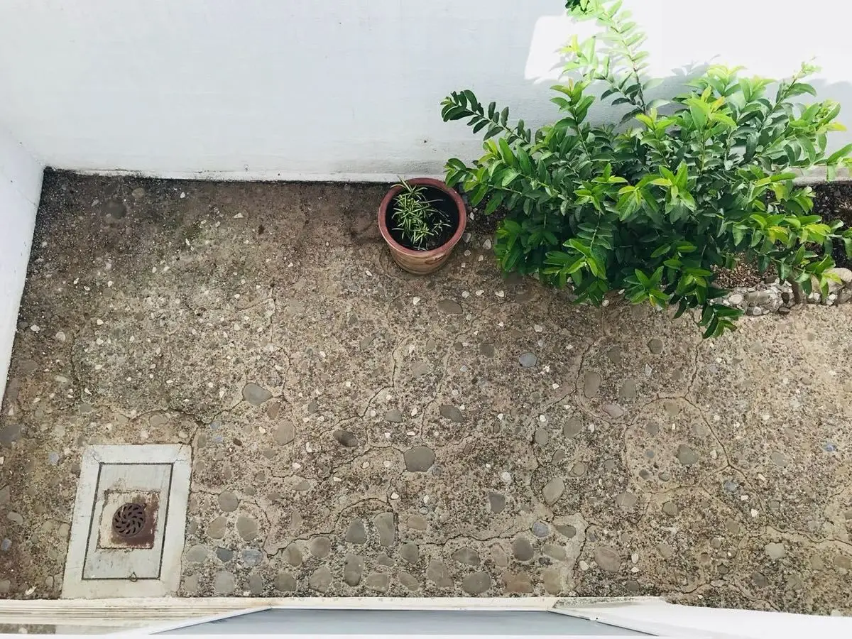 Renta Casa En Palmas Jurica Juriquilla Frente Antea — foto 6