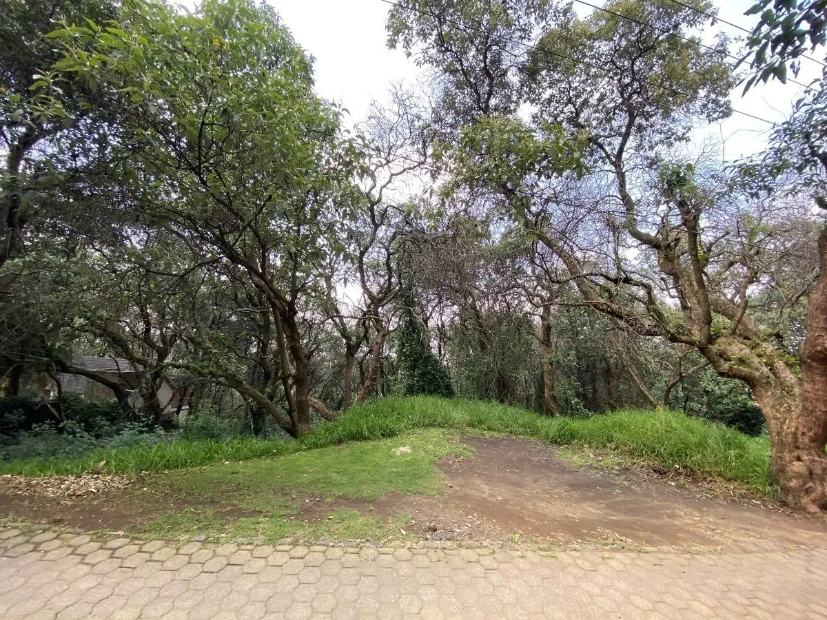 Terreno junto a exclusivo Fraccionamiento (Tlalpuente) — foto 5