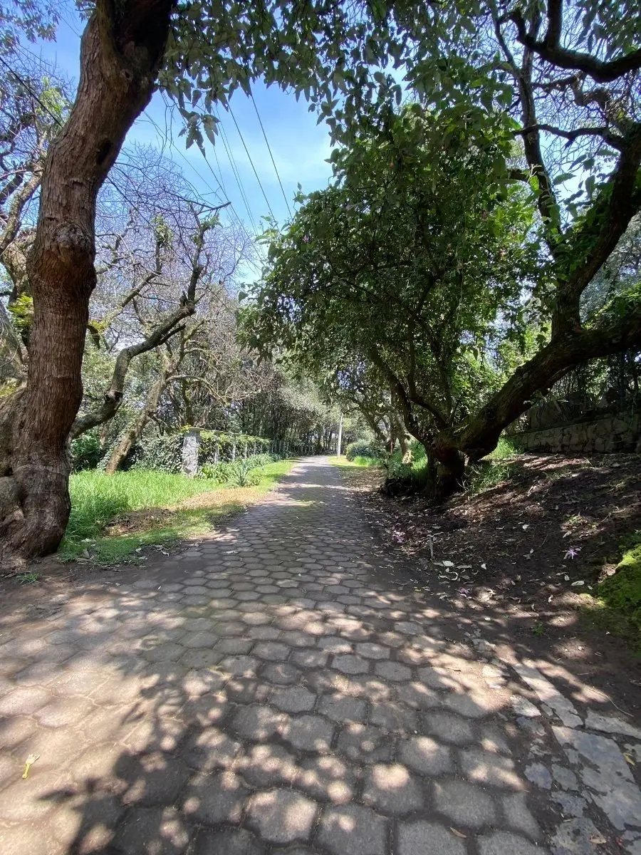 Terreno junto a exclusivo Fraccionamiento (Tlalpuente) — foto 6