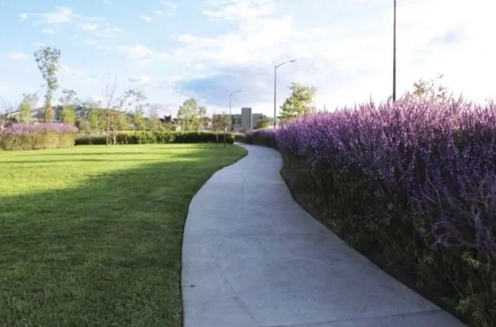 Terreno en Venta Carlota Corregidora Queretaro — foto 6