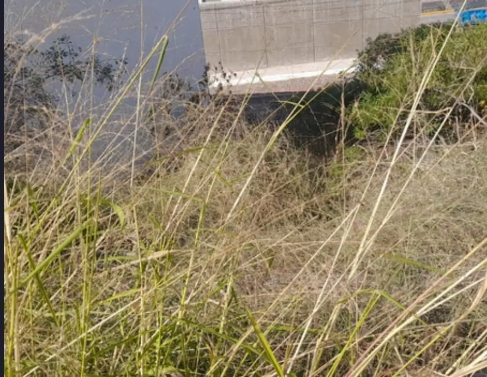 Terreno en venta en Cuesta Bonita — foto 5